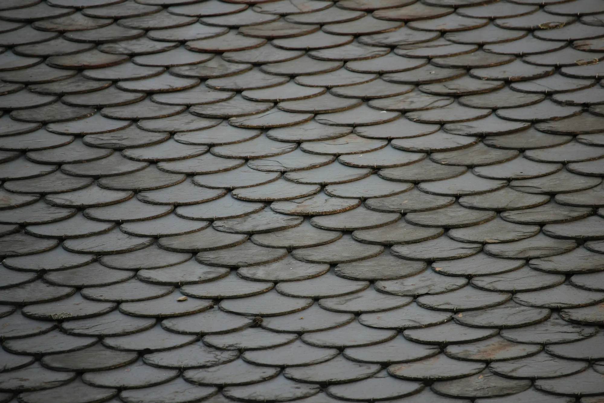 Rounded scalloped roof shingles in soft gray light